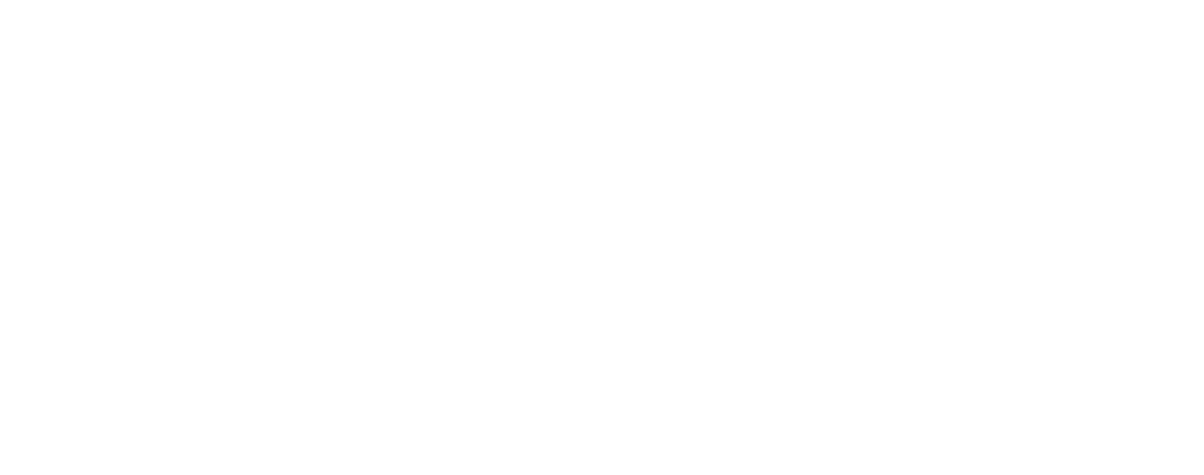 NOMAD Patagonia